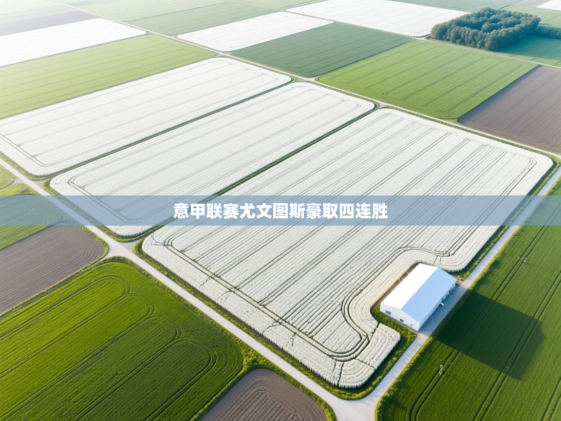 意甲联赛尤文图斯豪取四连胜  第1张