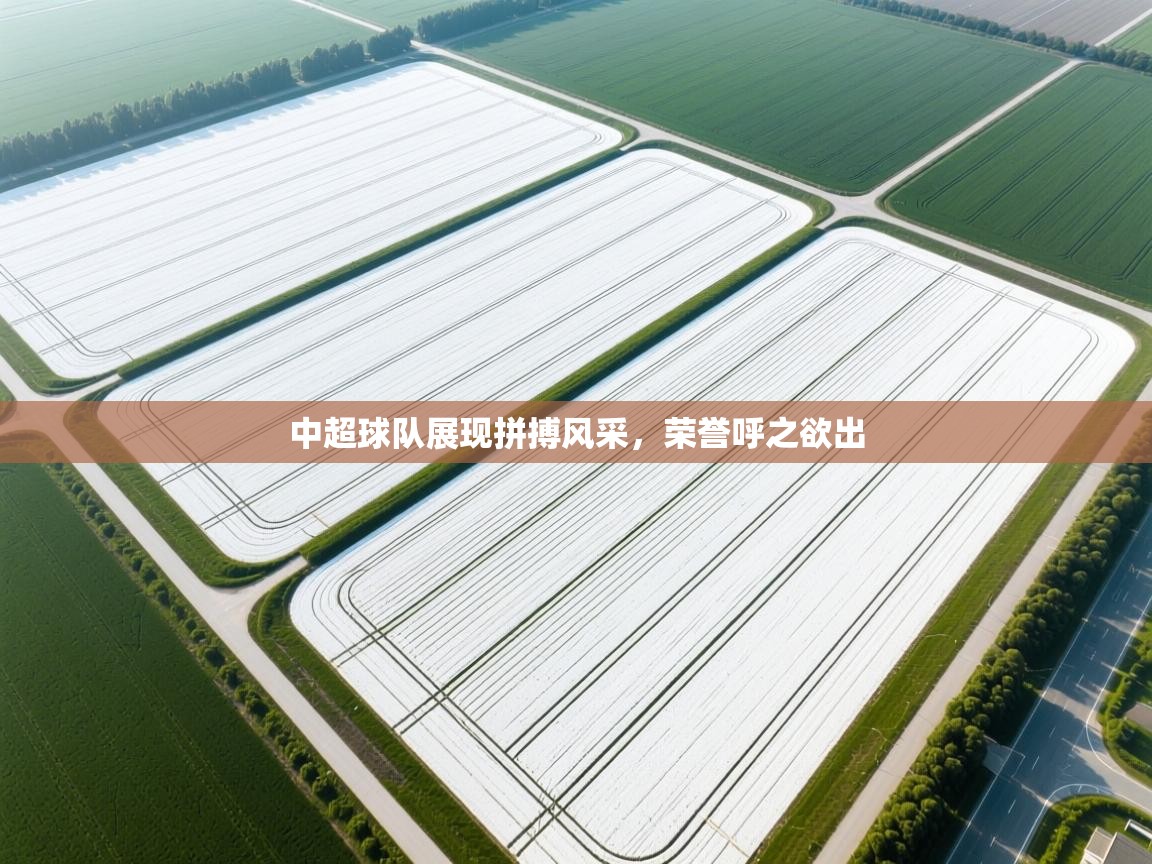 中超球队展现拼搏风采,荣誉呼之欲出 第1张