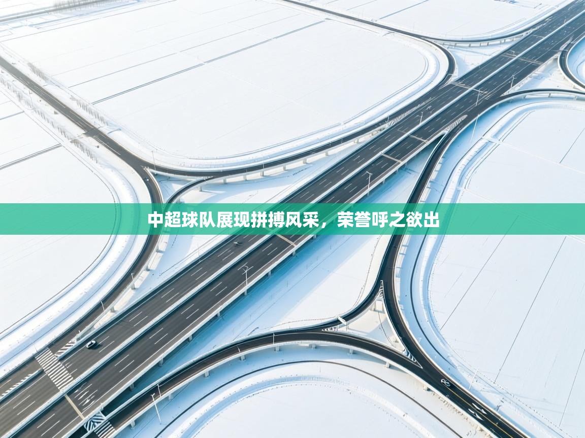 中超球队展现拼搏风采,荣誉呼之欲出 第2张