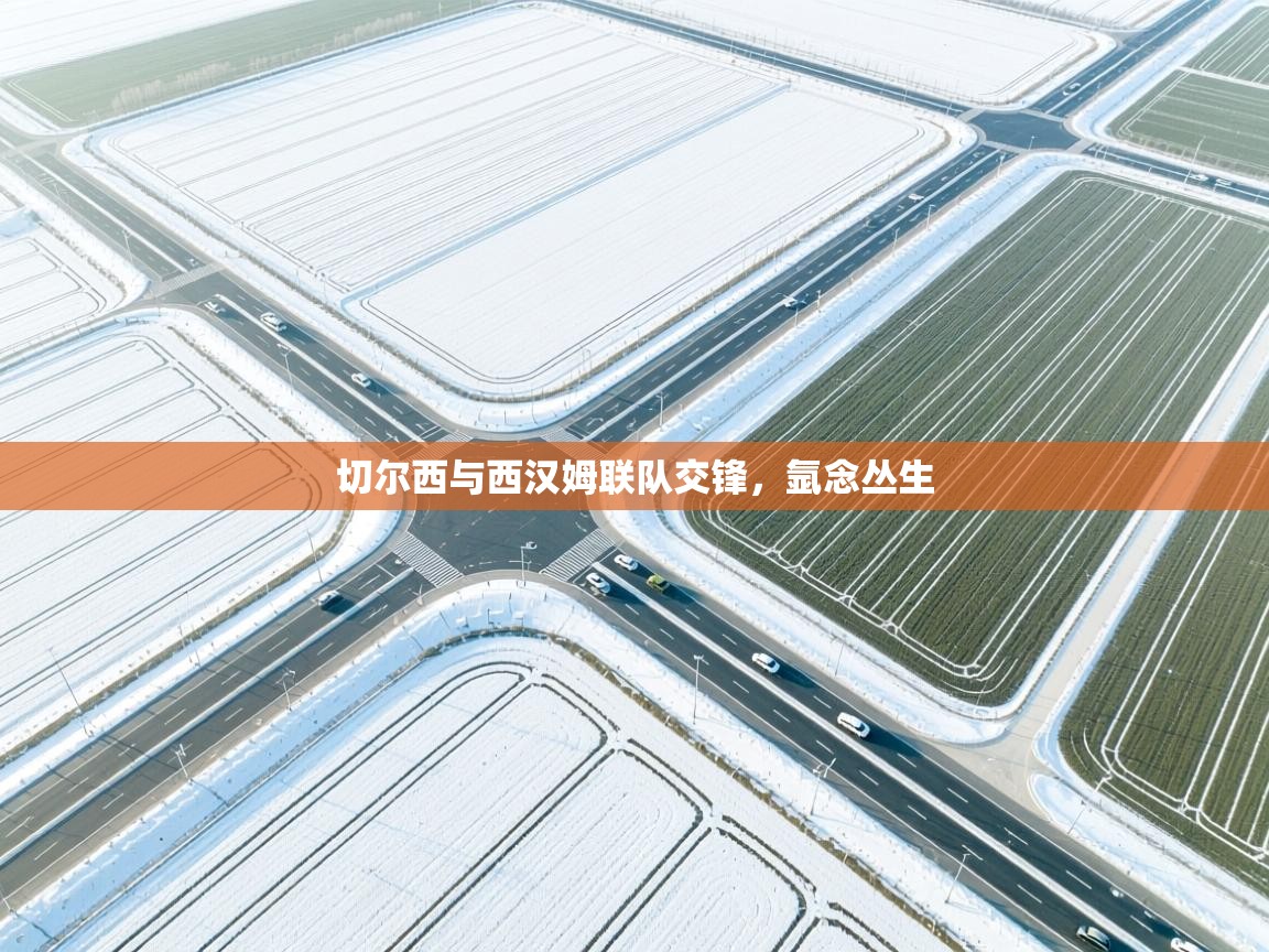 切尔西与西汉姆联队交锋,氩念丛生 第2张